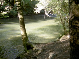 Water levels were still up a bit