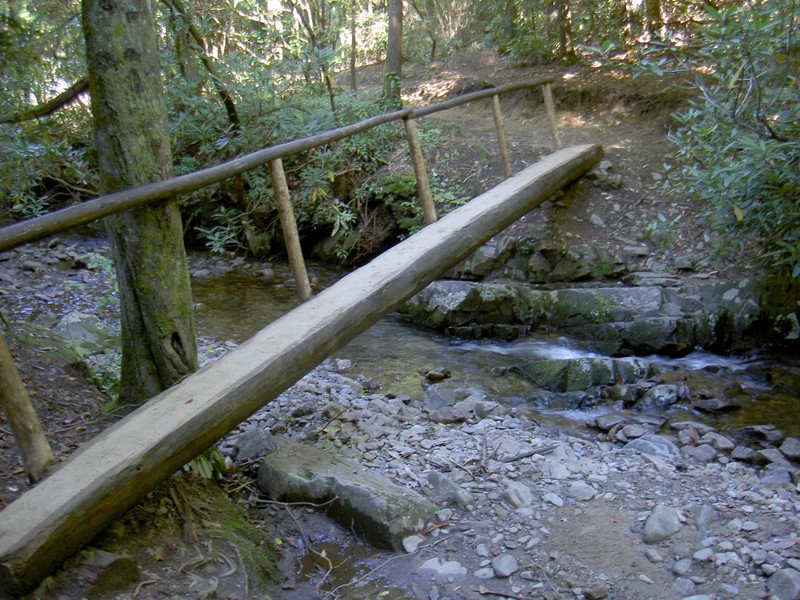 One of I think three good log footbridges on the way