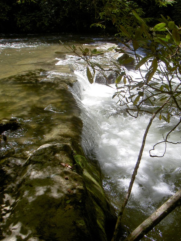 Little water ledge I spotted on the way back out