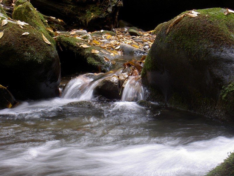 Just had to get a few creek shots although very few good opportunities presented themselves