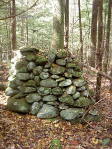 Lots of ex-farmland here, rock piles, fence rows, etc...