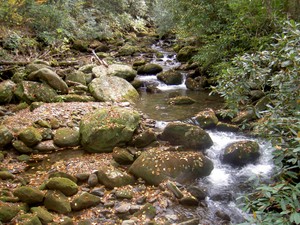 From the footbridge over the Old Settlers trail