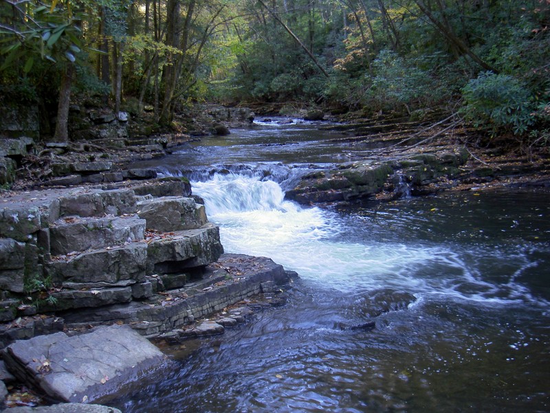 The creek next to the camping/picnic area