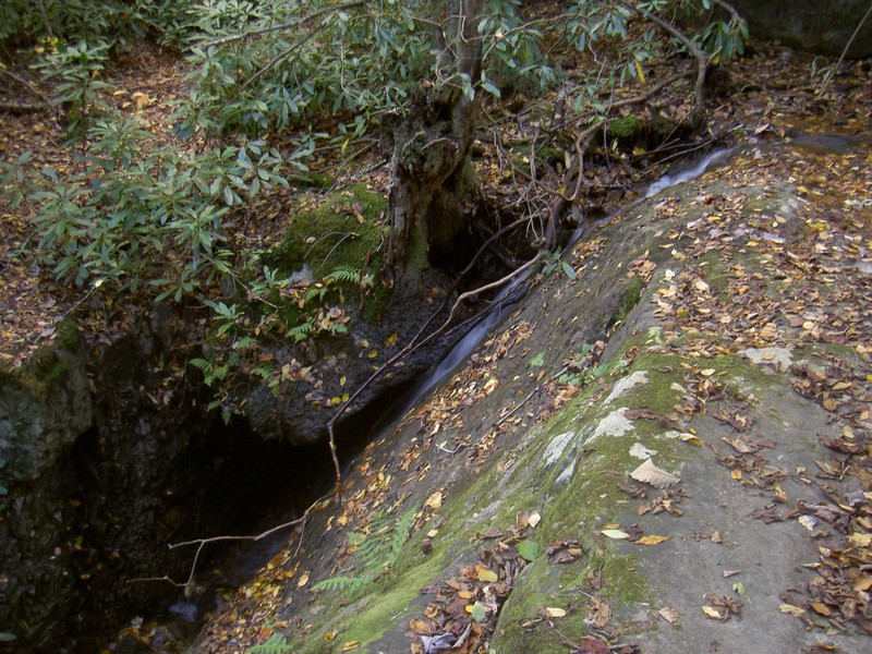 Backbone Falls from the top