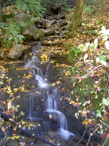 The creek below the falls, beside the road