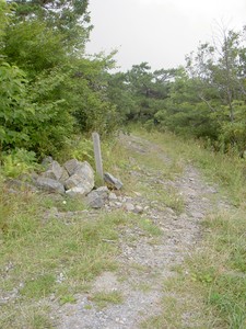 This small marker and a pull-off on the side of the road looked interesting. It led down through rhododendron on some rocks and revealed a great view.