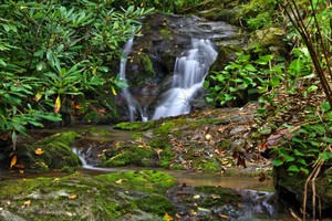 Highlight for Album: Big Branch Falls