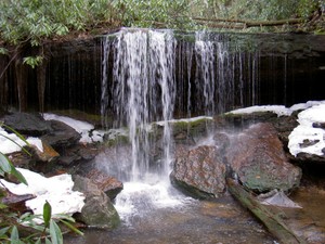 Highlight for Album: Brumley Creek