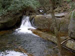 We went further downstream on Brumley Creek and found a few nice cascades