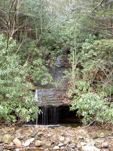 On the other side of the creek we spotted this small falls