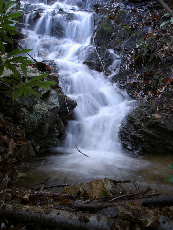 It's on a stream that feeds into Simmons Branch just a short distance below the falls