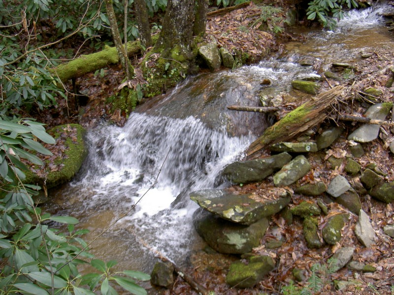 Simmons Branch upstream from the first falls