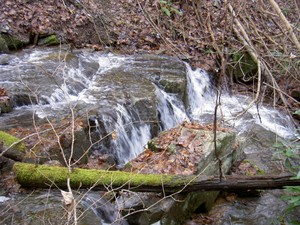 Further upstream as we approached 