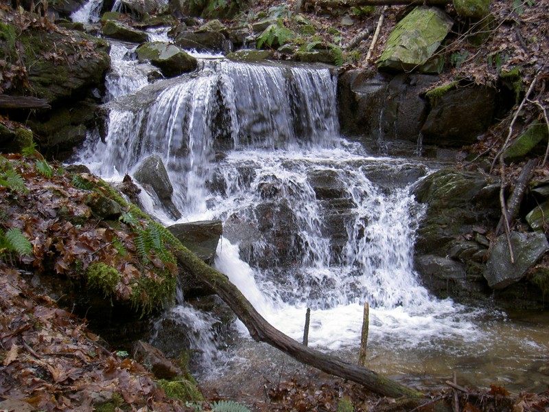 8 - 10' cascade just down from the upper falls