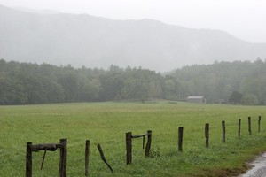 Light rain/mist most of the day