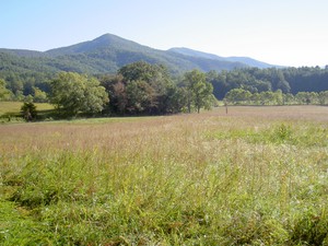 Highlight for Album: Cades Cove