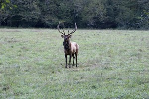 This guy wasn't thrilled that I took 3 steps from one side of the road to the other, towards him...