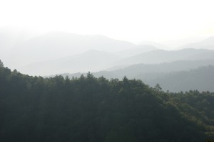 Cataloochee Valley