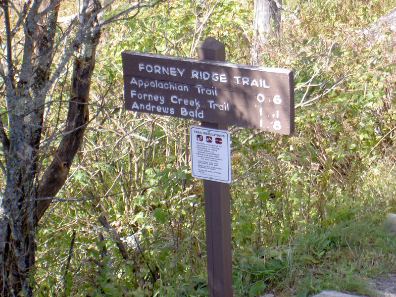 Forney Creek Cascades are down this trail, 6mi downhill, maybe next time (grin)