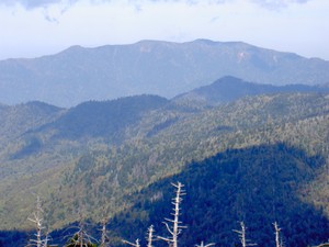 Closeup of Mt LeConte