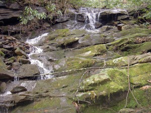 20' cascade on a feeder stream
