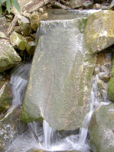 Moss-covered grooved rock on a feeder stream