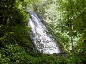 Highlight for Album: Crabtree Falls