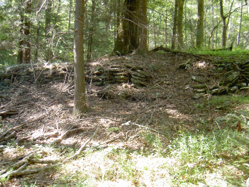 Lots of signs of a farm once in this area but no structures remain