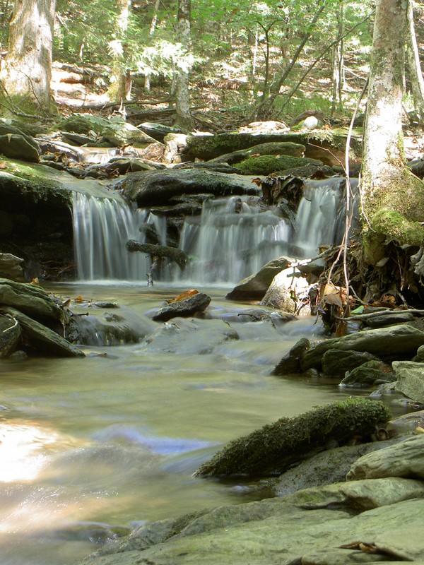 Nice spot just a short ways downstream