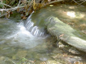 Must be a hollow under this rock. The water was making a drumming sound that for 30ft I thought there was a swarm of bees in the area