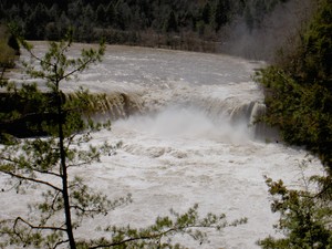 From the Eagle Falls trail