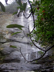 Drizzling rain made it difficult to shoot