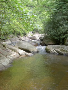 Looking downstream from the 2nd crossing point.