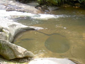 A small rapid and pool of water and this interesting round depression in the rock.