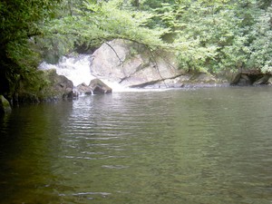 Lower Dennis Cove Falls, about 0.1 miles below the main falls.