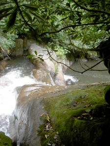 Looking down towards the pool at the bottom.