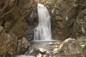 Highlight for Album: Dicks Creek Falls