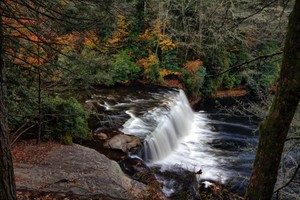 Highlight for Album: Dupont State Forest