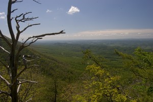 Further to the left, looking towards Piney Flats. Can't quite make out the building where I work but this side of the mountain is my view from there.