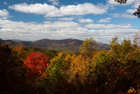 Highlight for Album: Great Smoky Mountains National Park