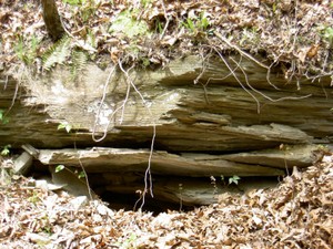 Notice how flat these rocks are