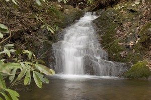 Highlight for Album: Hell Hollow Falls