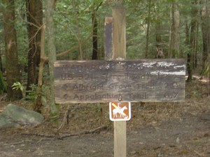 Continuing forward is the Albright Grove trail. It is a 0.7mi loop trail through an old growth forest. Past the side trail for the grove this trail eventually connects to the AT.