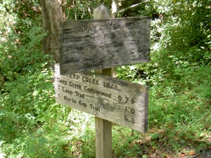 Head up the Indian Creek trail for this falls. Afterwards continue on and the loop for Juneywhank turns left in a few hundred yards