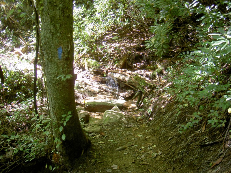 The side trail also has a spring with reliable water for AT hikers