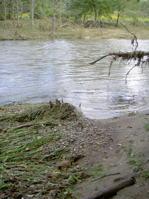 The Elk had been up quite a bit but was no longer flooding the AT that meanders beside it for a mile or so