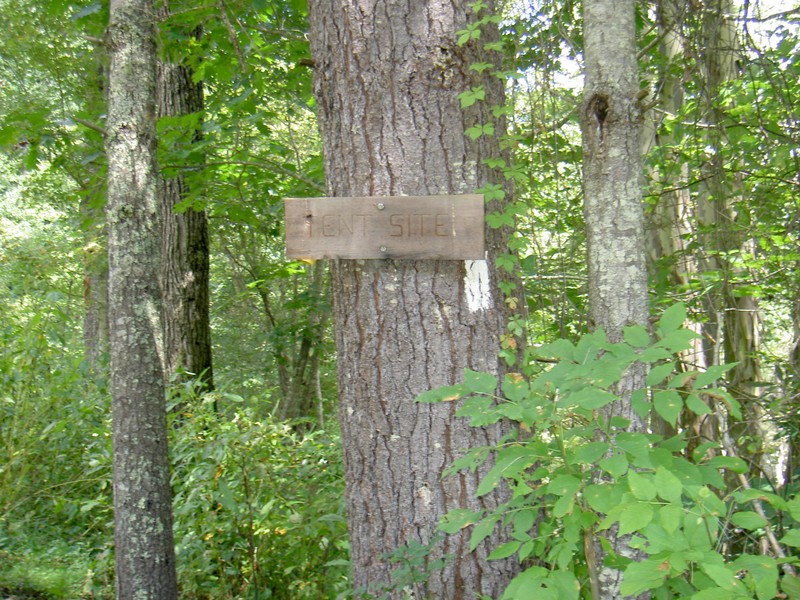 A ways down the AT in a grassy area overlooking the river is a designated camp site