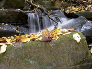 Small cascade downstream