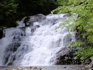 Highlight for Album: Laurel Fork Falls