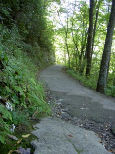 1.3mi paved trail